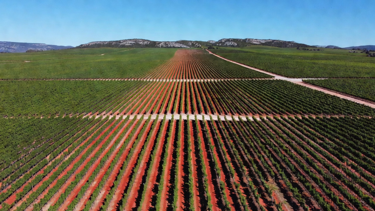Coonawarra Terroir: 2026 Cabernet Vineyards & Wine Tours Guide