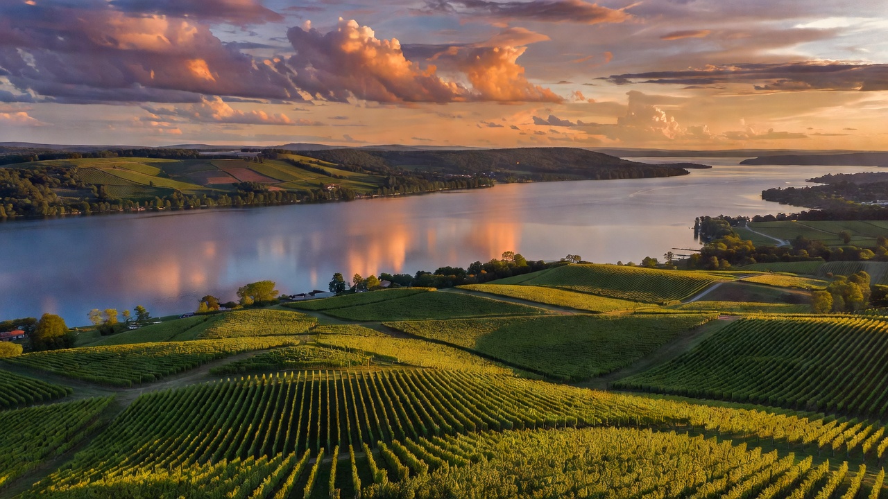 Finger Lakes Terroir: 2026 Vineyard Tours & Regional Wines Guide