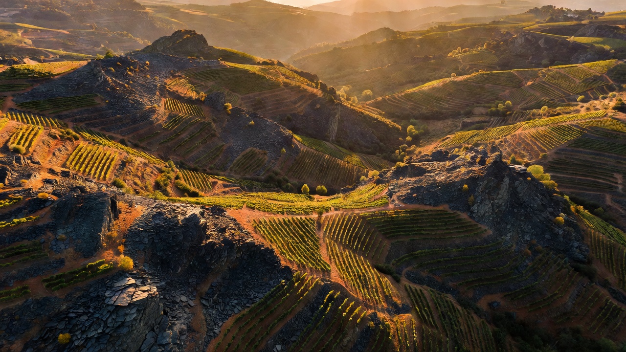 Priorat Terroir: 2026 Vineyard Tours & Regional Wines Guide
