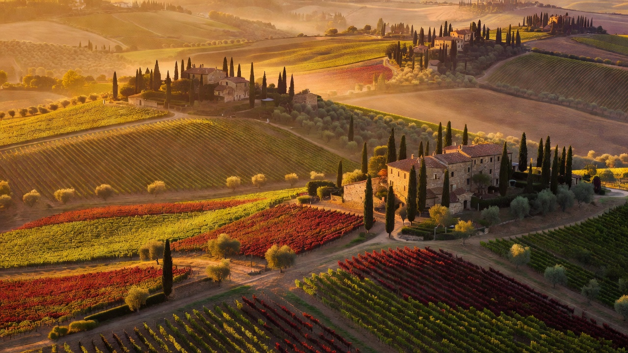 Tuscany Terroir: 2026 Vineyard Tours & Regional Wines Guide