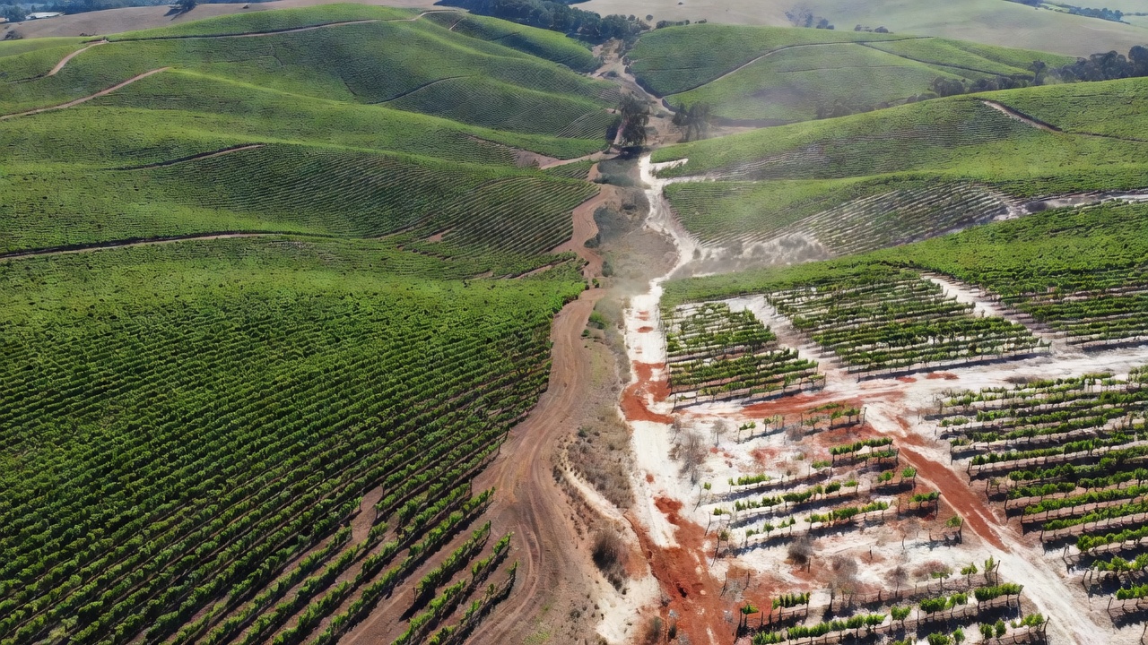 Yarra vs Hunter Valley Terroir for 2026 Wine Tours